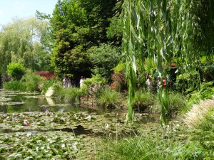 E.Vive-les-fleurs!-(10)