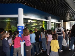 B.Cité-des-sciences-(2)