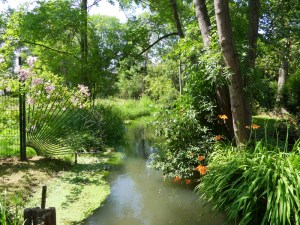 C.Vive-les-fleurs!-(1)