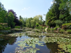 E.Vive-les-fleurs!-(4)