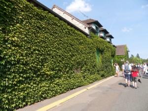 N.Vive-les-fleurs!-(9)