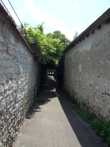 C.Vive-les-fleurs!-(0)