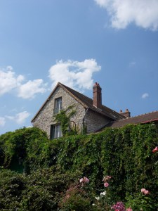 I.Vive-les-fleurs!-(13)