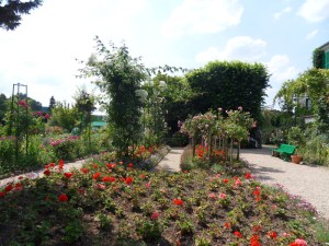 J.Vive-les-fleurs!-(2)