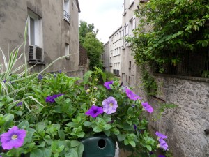 U.Provins-(2)