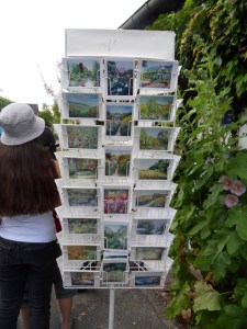 K.Vive-les-fleurs!-(3)