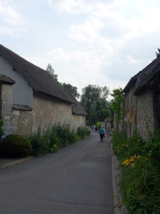 K.Vive-les-fleurs!-(8)