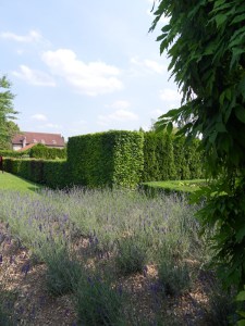 L.Vive-les-fleurs!-(7)