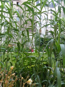 Ça-a-l'air-bon!-(9)