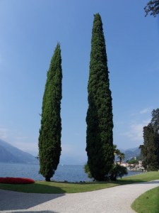 Bellagio (8)