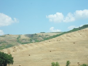 2.Val d'Orcia (8)
