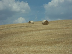 2.Val d'Orcia (15)
