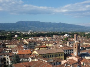Lucca (27)