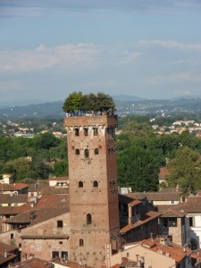 Lucca (28)