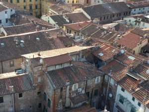 Lucca (67)