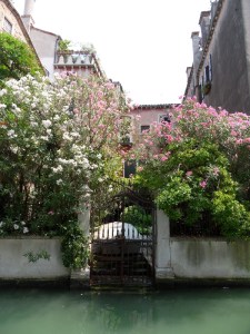 Venezia2 (28)