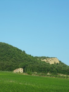 2.Toscana-(3)