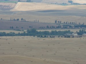 3. Pienza (7)