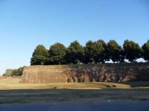 Lucca (94)