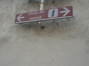 Pisa (15)
