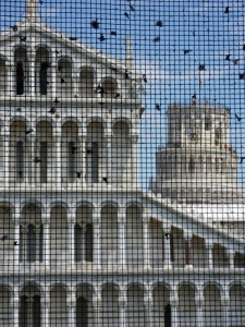 Pisa (52)