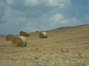 2.Val d'Orcia (16)
