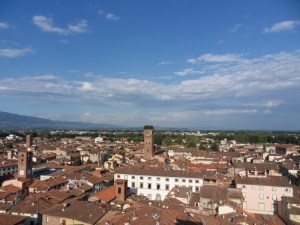 Lucca (26)