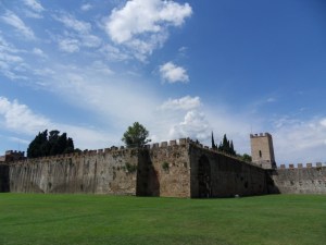 Pisa (79)