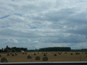 Sur la route du retour (15)